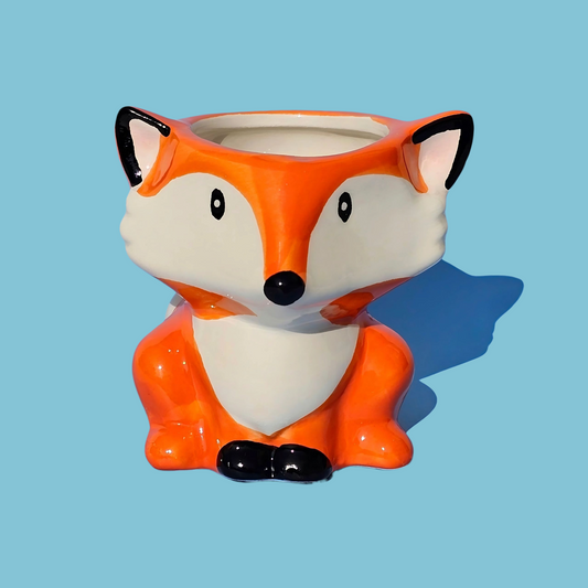 Maceta "Zorrito" (S)