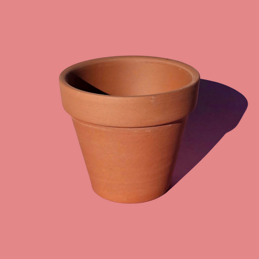 Maceta "Terracotta" (XXS)