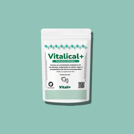 Vitalical+ Vitali+
